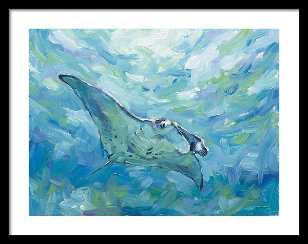 Manta Ray Swimming Gracefully
