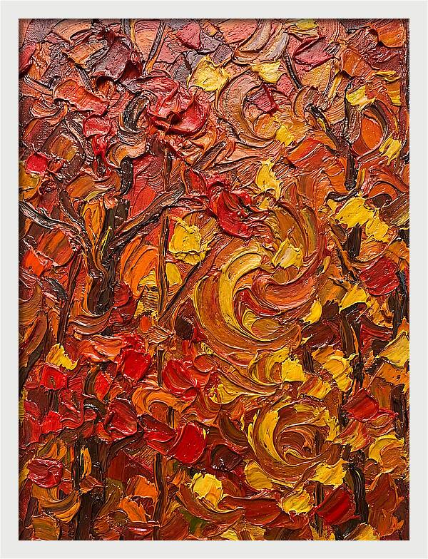 Maple Forest In Autumn