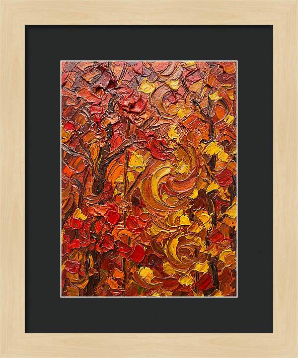 Maple Forest In Autumn