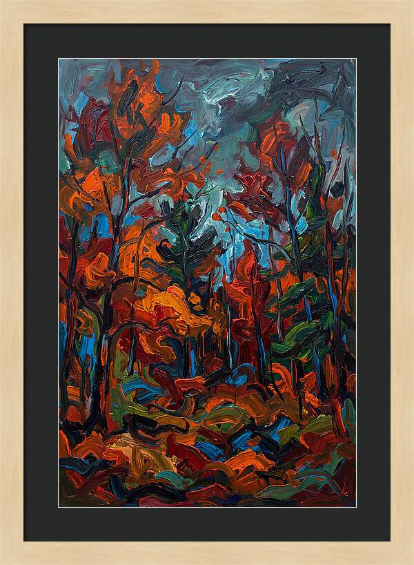 Maple Forest Splendor