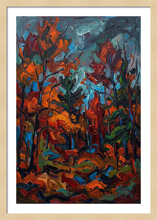 Maple Forest Splendor