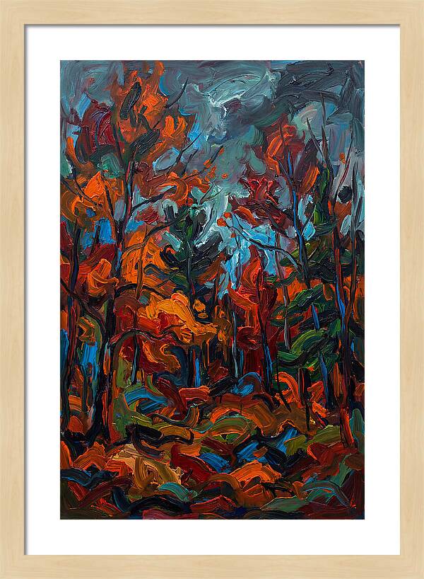 Maple Forest Splendor