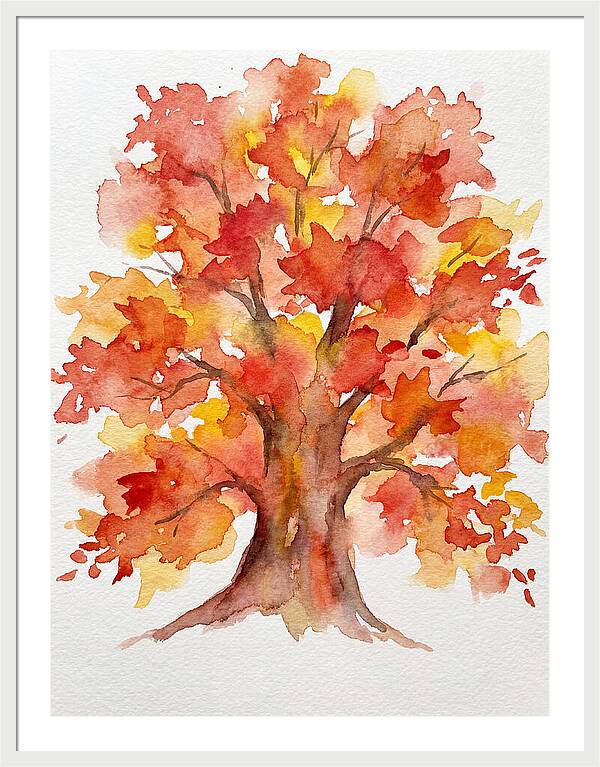 Maple Tree In Autumn Hues