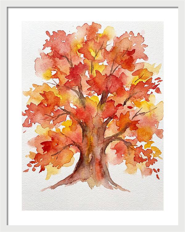Maple Tree In Autumn Hues