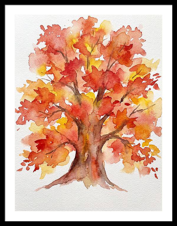 Maple Tree In Autumn Hues
