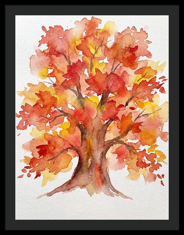 Maple Tree In Autumn Hues