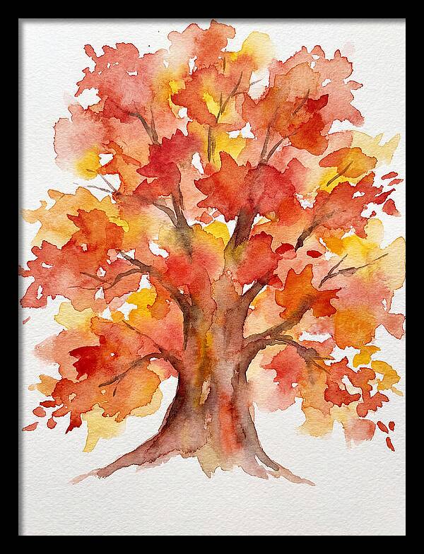 Maple Tree In Autumn Hues
