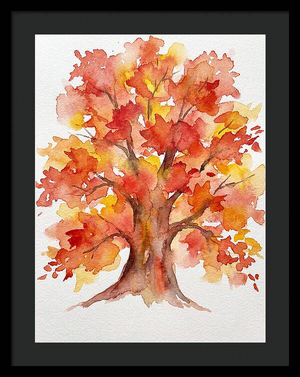 Maple Tree In Autumn Hues