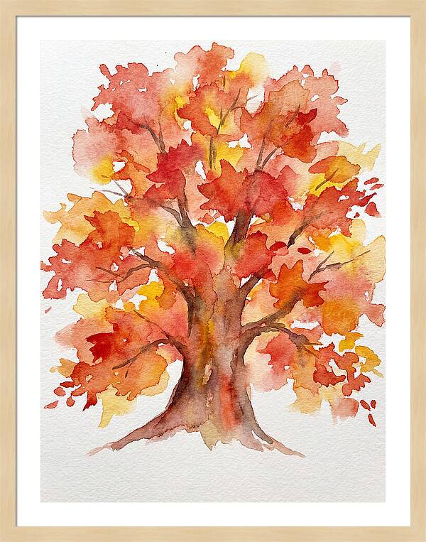 Maple Tree In Autumn Hues