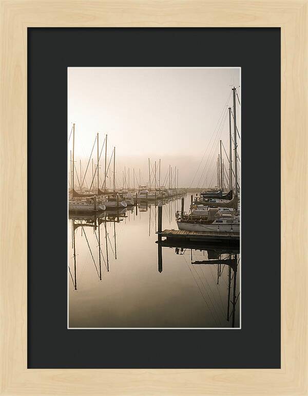Marina Reflections At Golden Hour