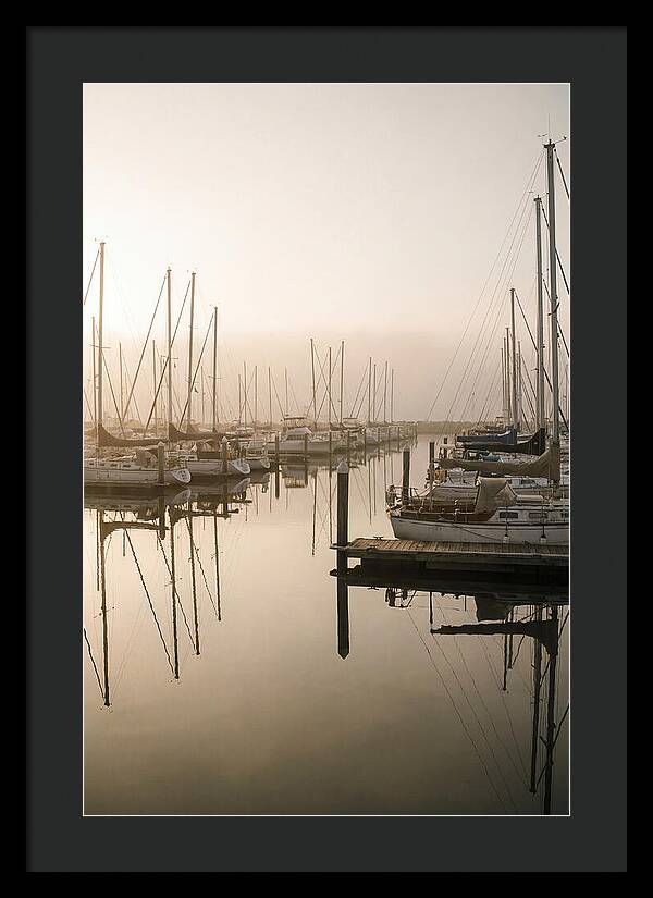 Marina Reflections At Golden Hour