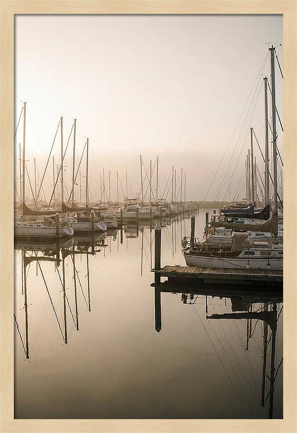 Marina Reflections At Golden Hour