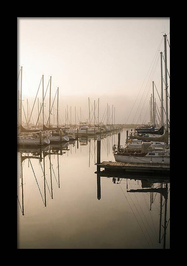 Marina Reflections At Golden Hour