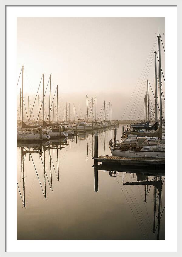 Marina Reflections At Golden Hour