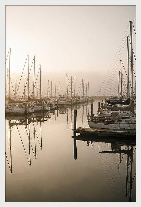 Marina Reflections At Golden Hour