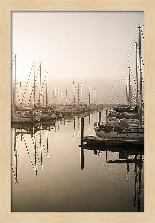 Marina Reflections At Golden Hour