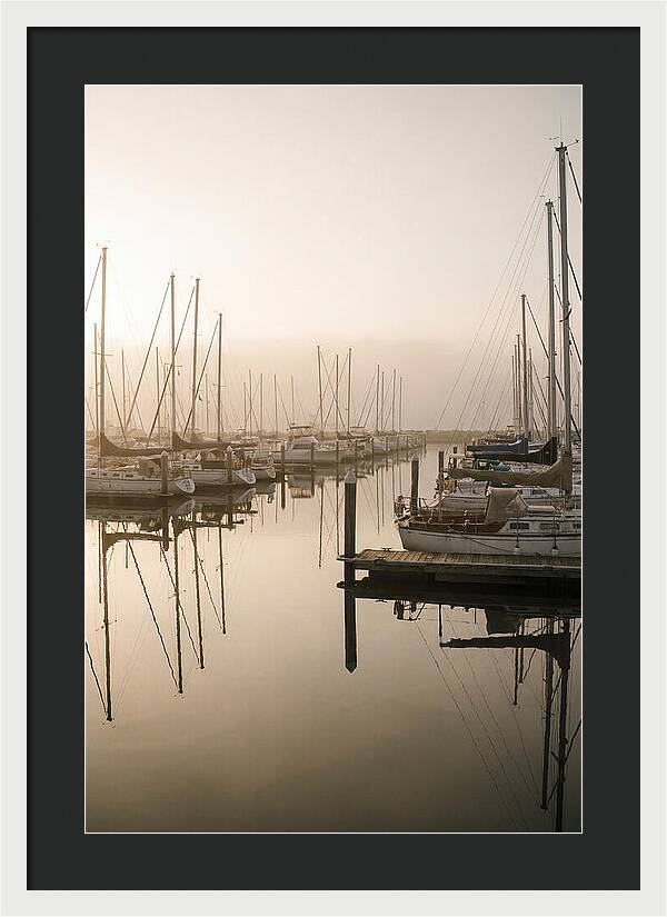 Marina Reflections At Golden Hour