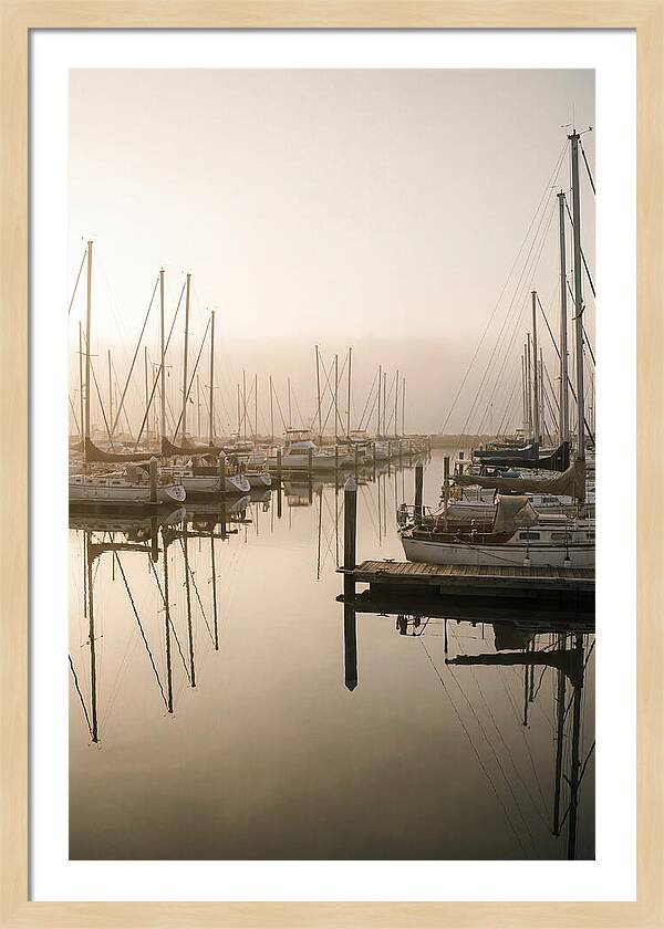 Marina Reflections At Golden Hour
