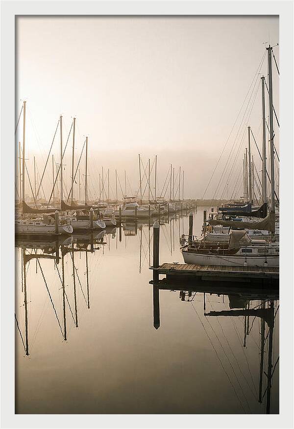 Marina Reflections At Golden Hour