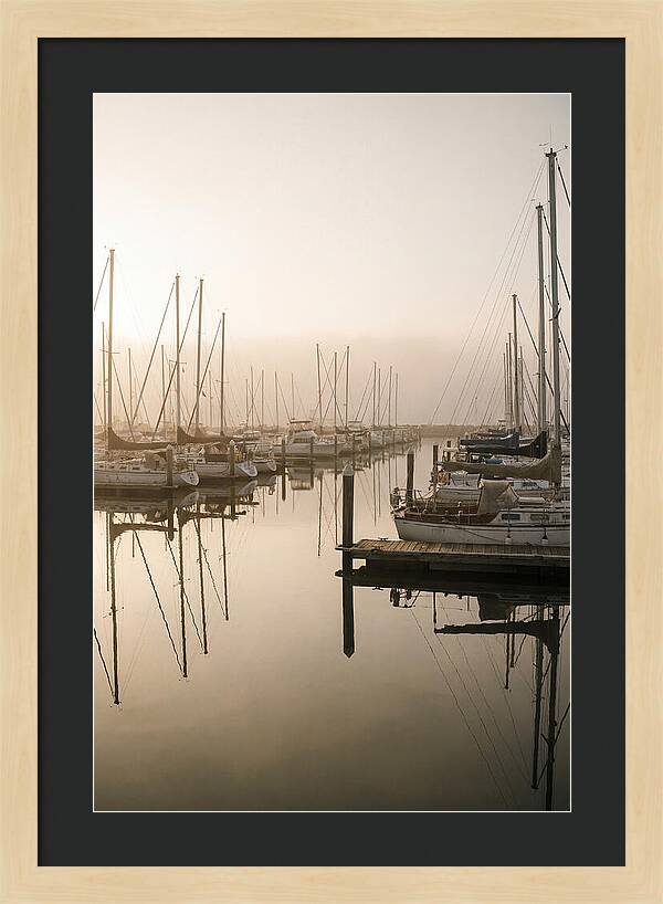 Marina Reflections At Golden Hour