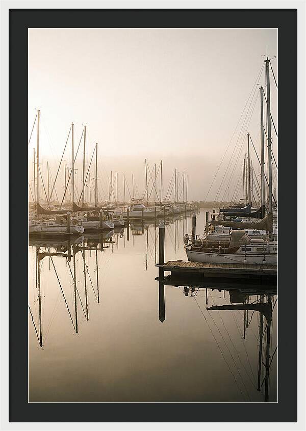 Marina Reflections At Golden Hour