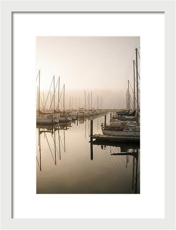 Marina Reflections At Golden Hour