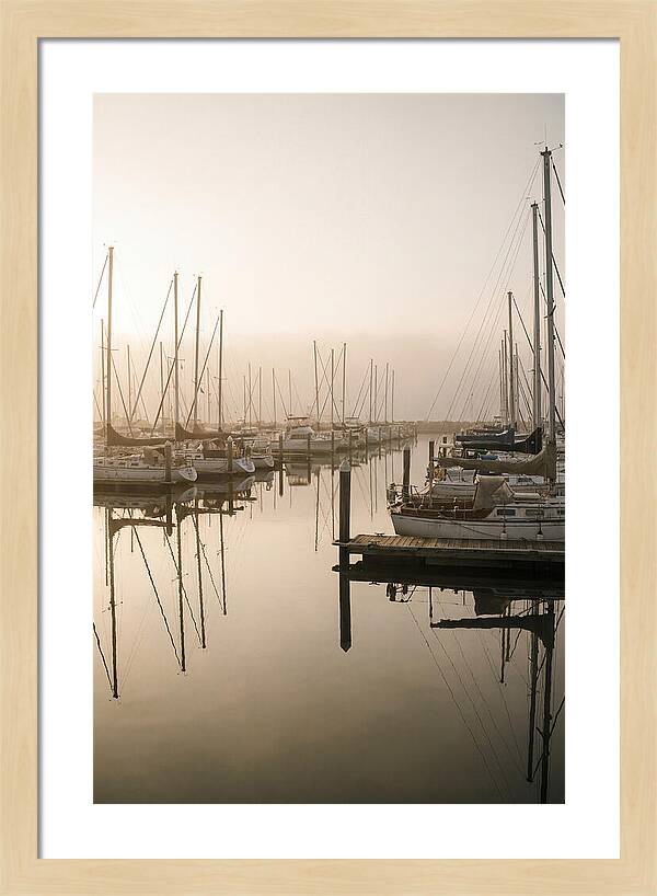 Marina Reflections At Golden Hour