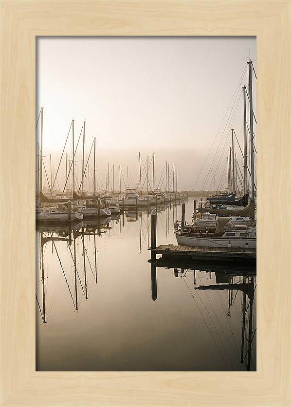 Marina Reflections At Golden Hour
