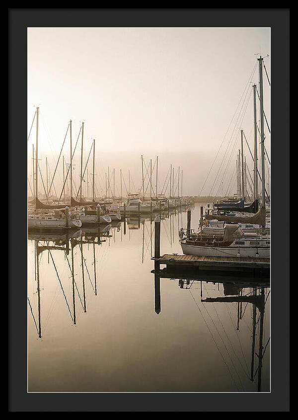 Marina Reflections At Golden Hour