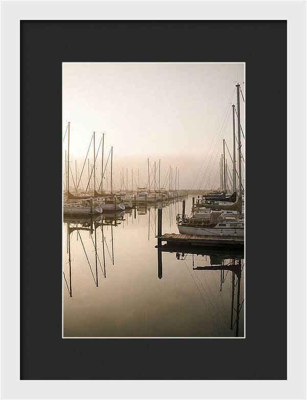 Marina Reflections At Golden Hour