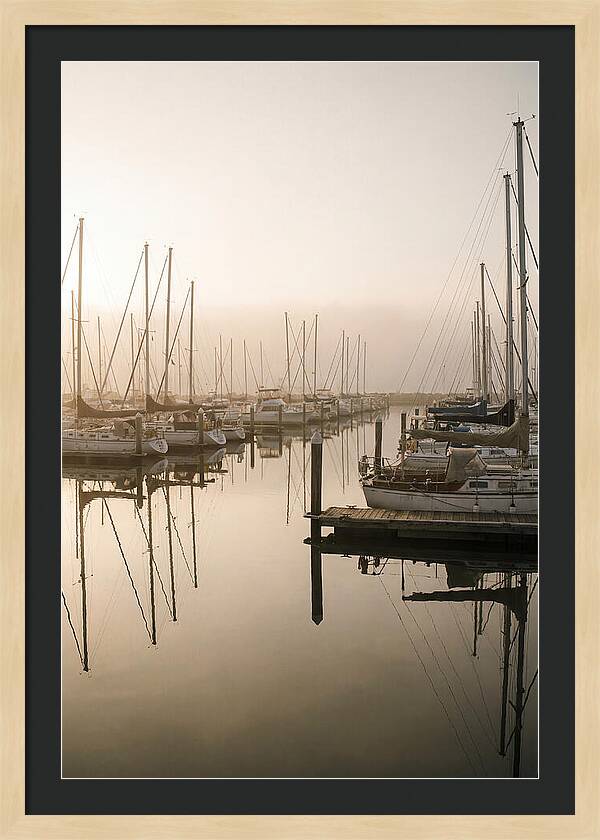 Marina Reflections At Golden Hour
