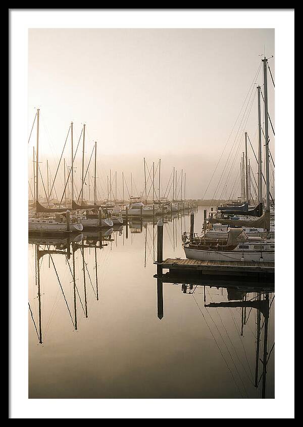 Marina Reflections At Golden Hour