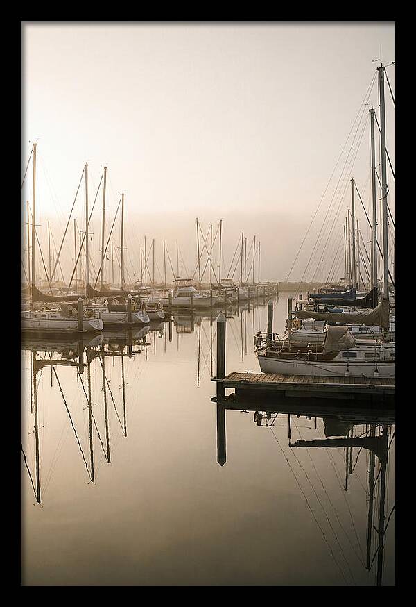 Marina Reflections At Golden Hour