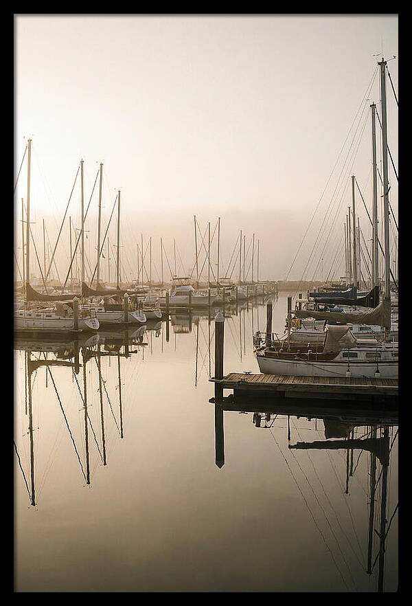 Marina Reflections At Golden Hour