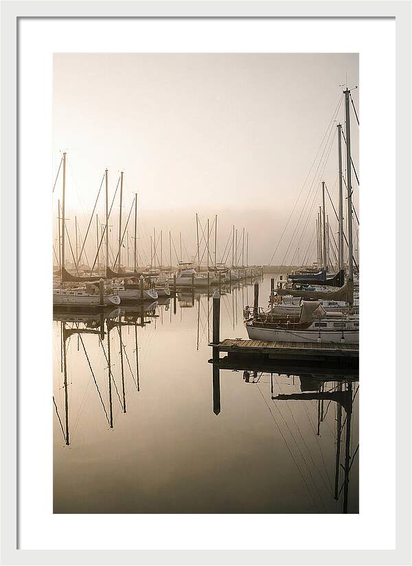 Marina Reflections At Golden Hour