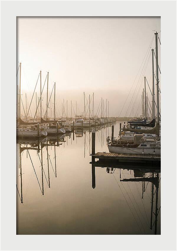 Marina Reflections At Golden Hour