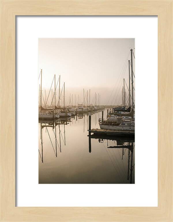Marina Reflections At Golden Hour