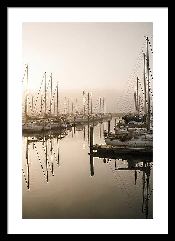 Marina Reflections At Golden Hour