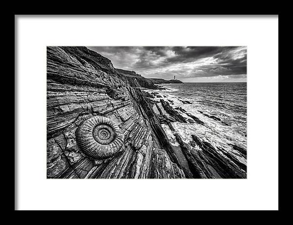 Marine Fossil Beside The Ocean