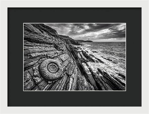 Marine Fossil Beside The Ocean