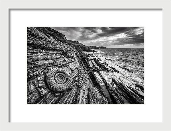 Marine Fossil Beside The Ocean