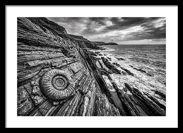Marine Fossil Beside The Ocean