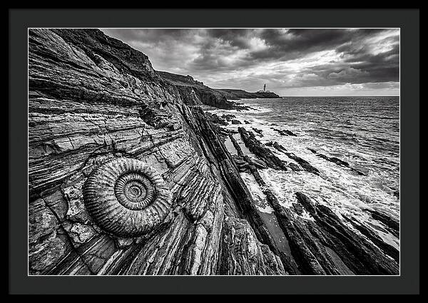 Marine Fossil Beside The Ocean