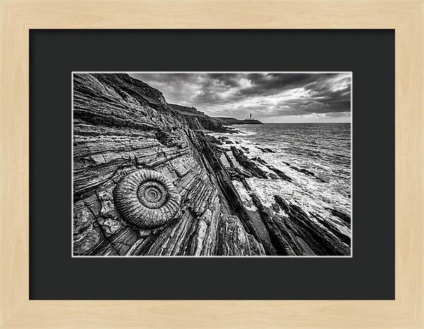 Marine Fossil Beside The Ocean