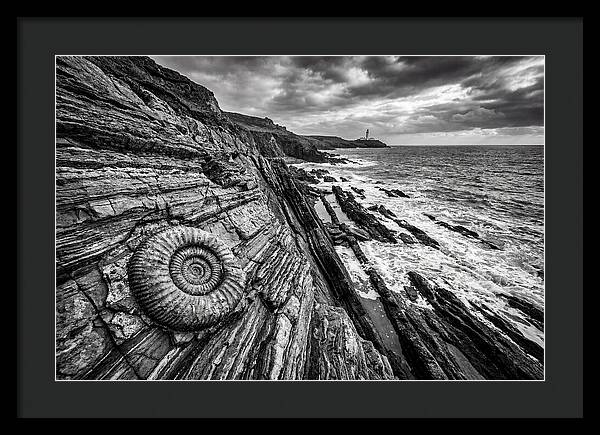 Marine Fossil Beside The Ocean