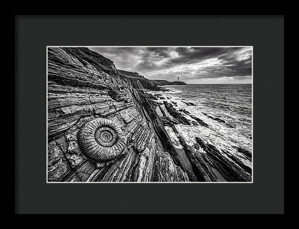 Marine Fossil Beside The Ocean