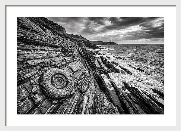 Marine Fossil Beside The Ocean