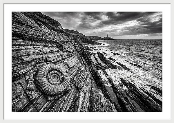 Marine Fossil Beside The Ocean