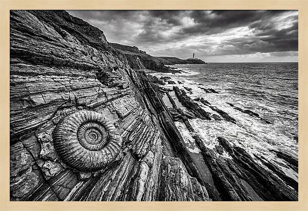 Marine Fossil Beside The Ocean