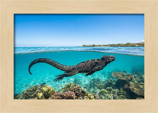 Marine Iguana Swimming Gracefully